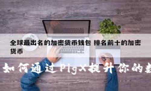 深入了解IM钱包：如何通过PigX提升你的数字资产管理体验