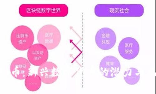 COO虚拟币：新兴数字货币的潜力与风险分析