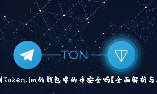 能添加到Token.im的钱包中的币安全吗？全面解析与风险指南