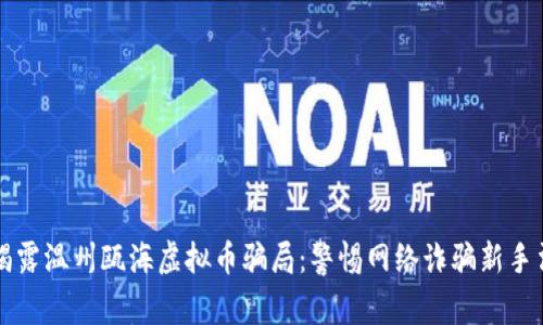 揭露温州瓯海虚拟币骗局：警惕网络诈骗新手法