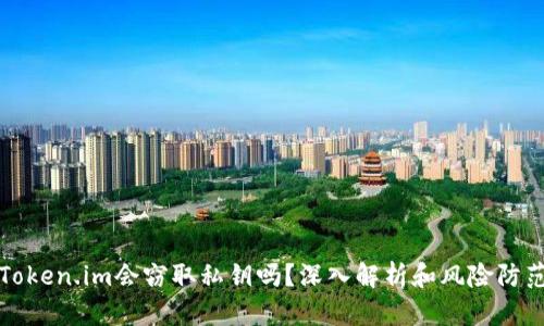 Token.im会窃取私钥吗？深入解析和风险防范