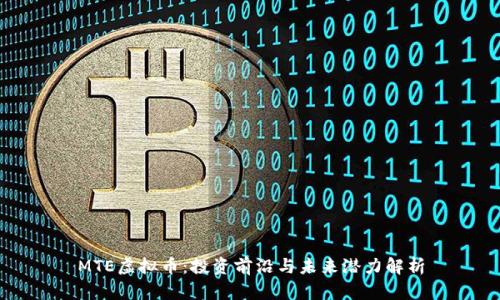 MTE虚拟币：投资前沿与未来潜力解析