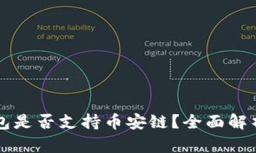 Token.im钱包是否支持币安链？全面解析与使用指南
