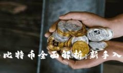 虚拟货币与比特币全面解析：新手入门视频讲解