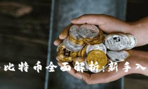 虚拟货币与比特币全面解析：新手入门视频讲解