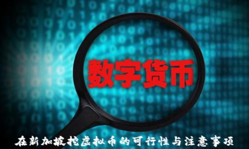 
在新加坡挖虚拟币的可行性与注意事项