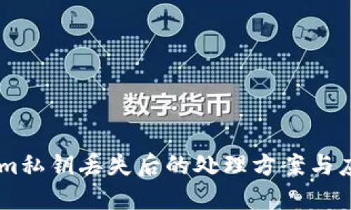 token.im私钥丢失后的处理方案与应对策略