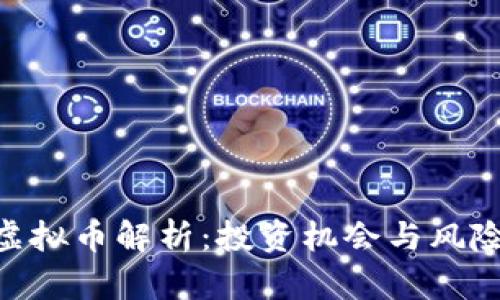 BTN虚拟币解析：投资机会与风险详解