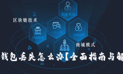 虚拟币钱包丢失怎么办？全面指南与解决方案