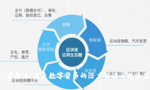 DCY虚拟币：未来数字货币的潜力解读与投资策略