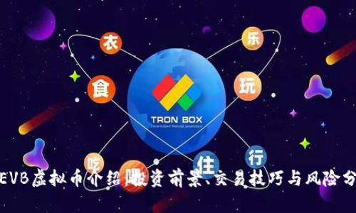 : EVB虚拟币介绍：投资前景、交易技巧与风险分析