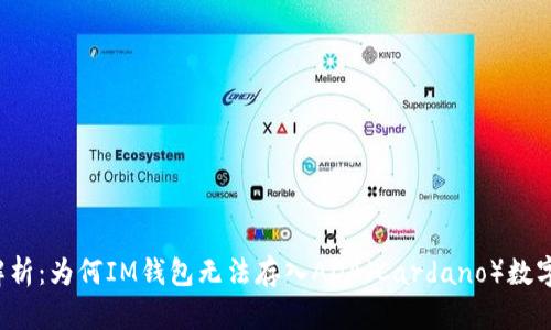 深入解析：为何IM钱包无法存入ADA（Cardano）数字货币？