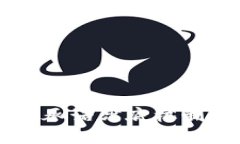 虚拟币市场中的承诺兜底机制解析与风险分析