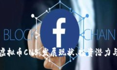 全面解析虚拟币CNS：发展现状、投资潜力与风险