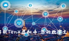 全面解析TenX虚拟币：您的数字支付未来