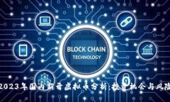 2023年国内新开虚拟币分析：投资机会与风险