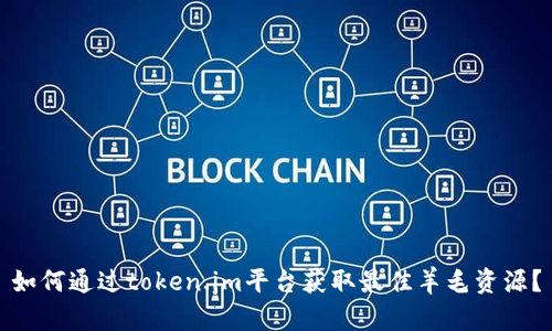 如何通过token.im平台获取最佳羊毛资源？